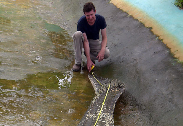 Zoologist Adam Britton with a crocodile 