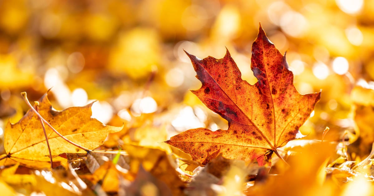 Tell me why: When does fall begin? - CBS Texas