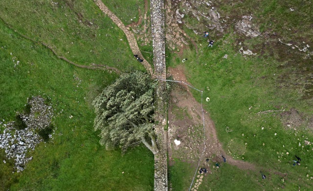 General view of the felled Sycamore Gap in Northumberland. 