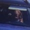 Slovakian driver fined after traffic camera shows dog behind wheel of car