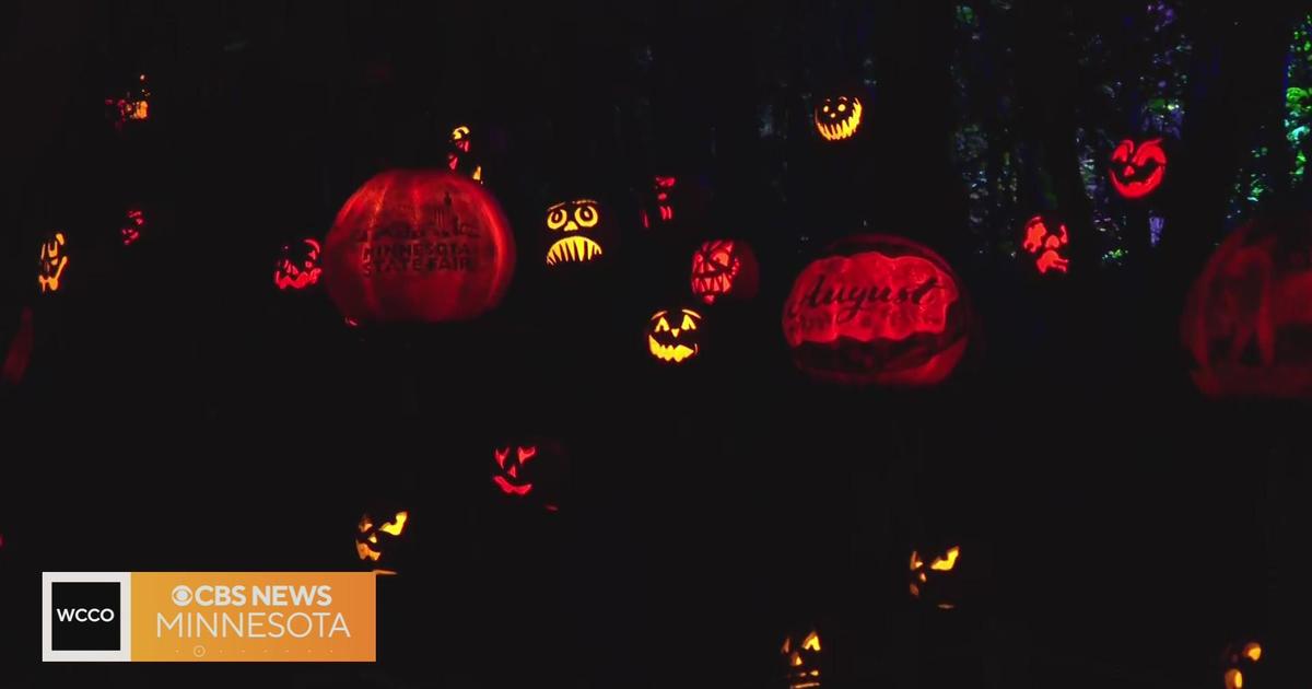 minnesota zoo halloween