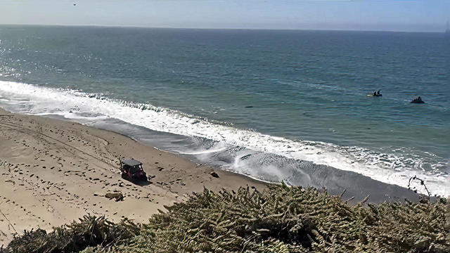 Point Reyes search for swimmer after reported shark attack 