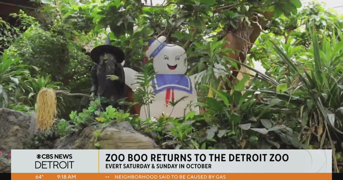 Zoo Boo kicks off on Oct. 7 at Detroit Zoo CBS Detroit