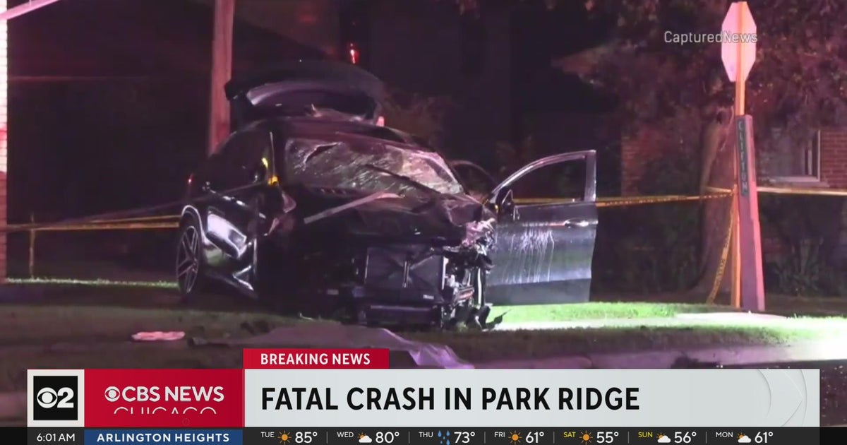 Investigation underway after deadly crash in Chicago suburb - CBS Chicago