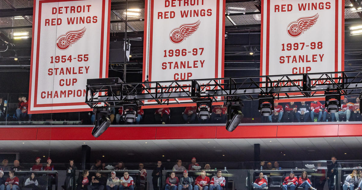 Tigers show support for Red Wings at Joe Louis Arena
