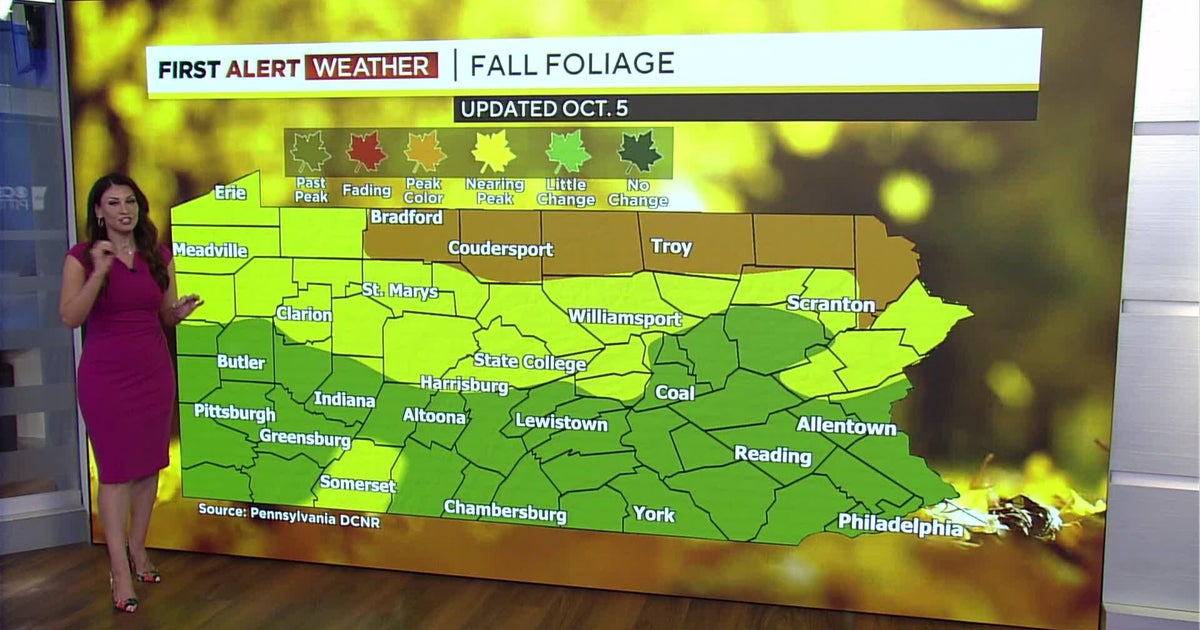 Fall Foliage Report: Leaves starting to change, expected to near peak ...