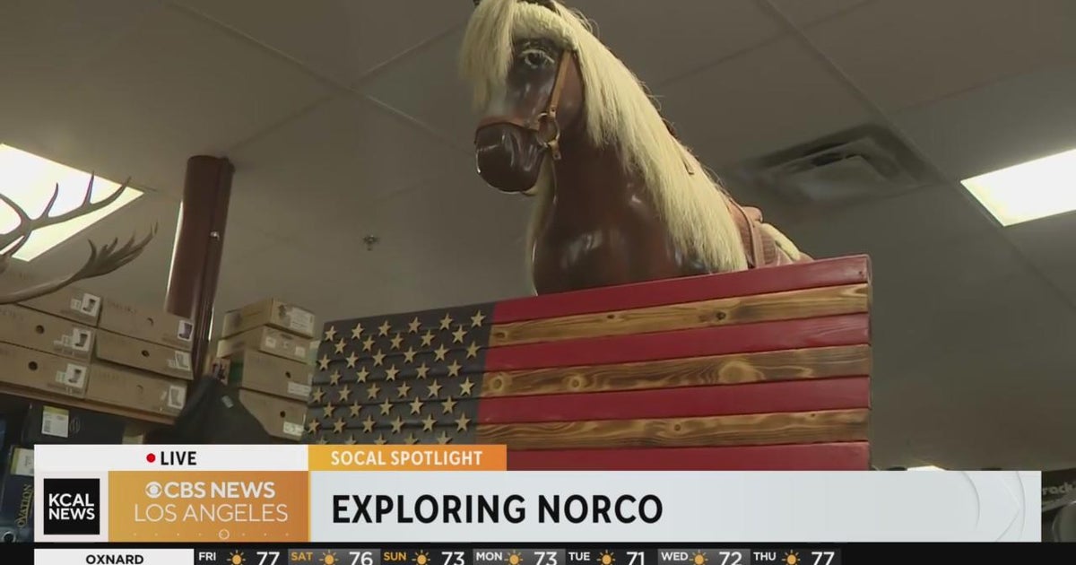 Shopping at the Thrifty Horse in Norco SoCal Spotlight CBS Los Angeles