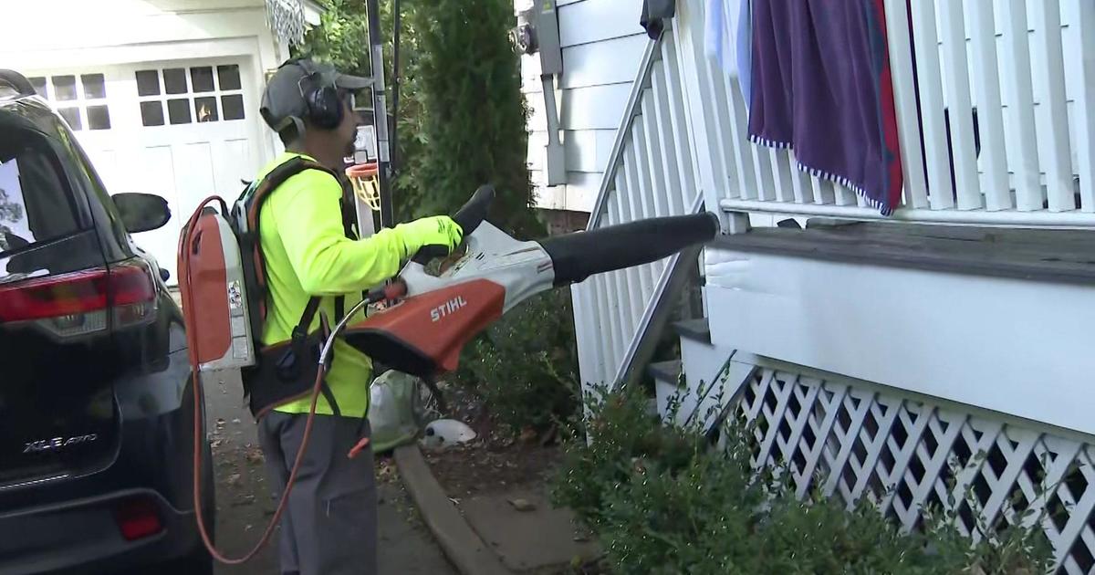 Giant Eagle prepares shoppers at Pittsburgh stores for city's plastic bag  ban in October - CBS Pittsburgh