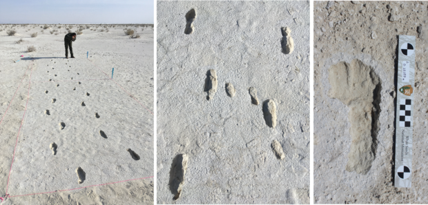 white-sands-human-footprints-adult-and-child.png 