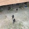Videos show Ecuador police seizing nearly 14 tons of drugs