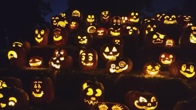 carved-pumpkins.jpg 