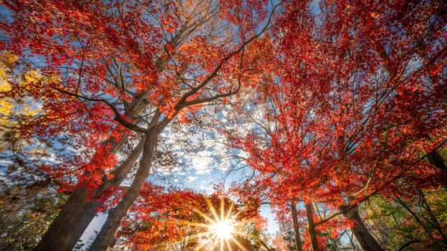 Sunny Fall Morning in Texas 