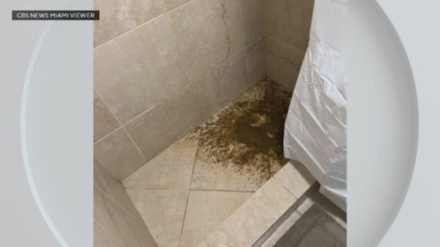 Cloisters apartment complex near University of Miami in trouble — and residents aren't happy