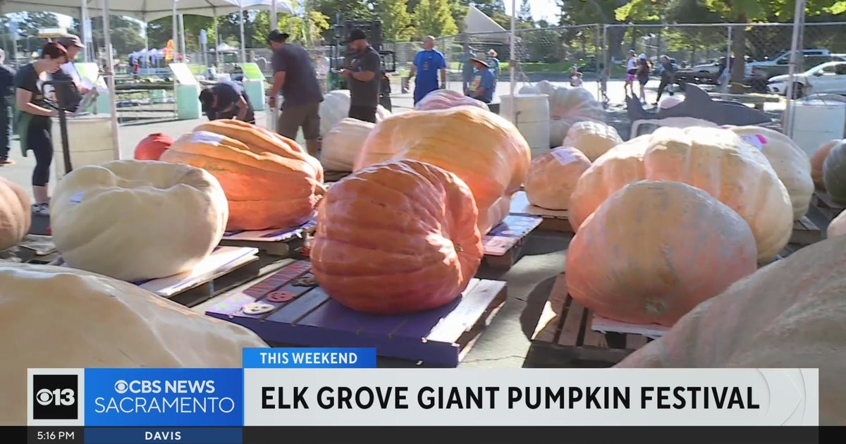 Annual Elk Grove Giant Pumpkin Festival returns