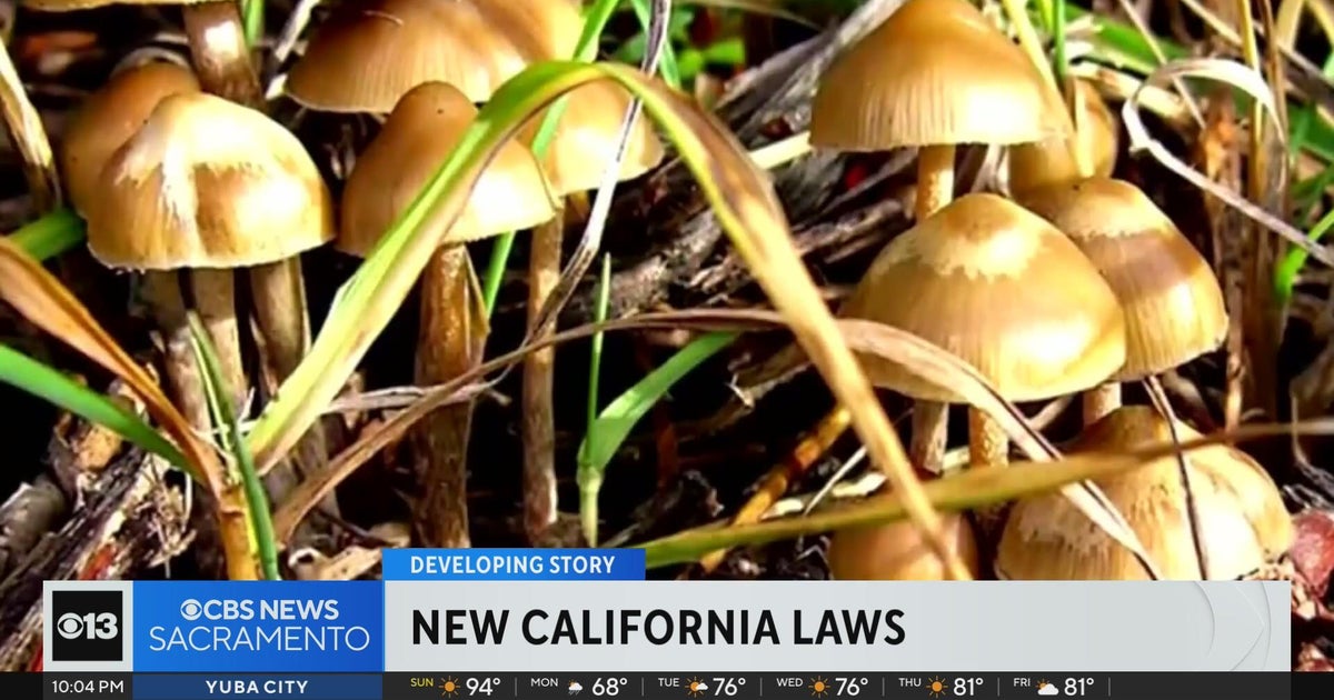 California Gov Newsom signs bill advancing universal health care vetoes insulin price cap