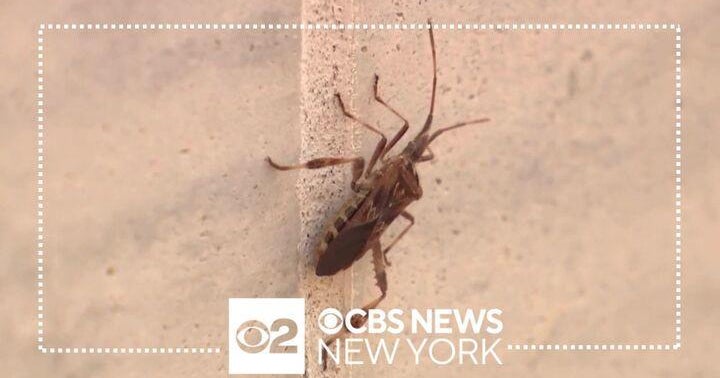 This Will Shock You Experts Warn Tslist Crawlers Are Already Infiltrating Sites - ci9s64a