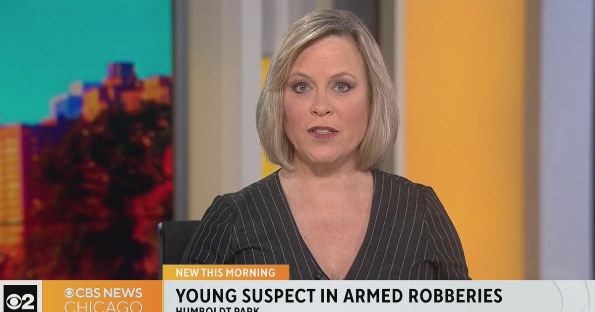 CPD issue alert of armed robberies in Humboldt Park involving young ...