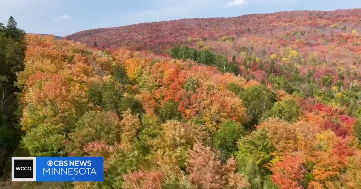 Now is the time to see fall colors across Minnesota - CBS Minnesota
