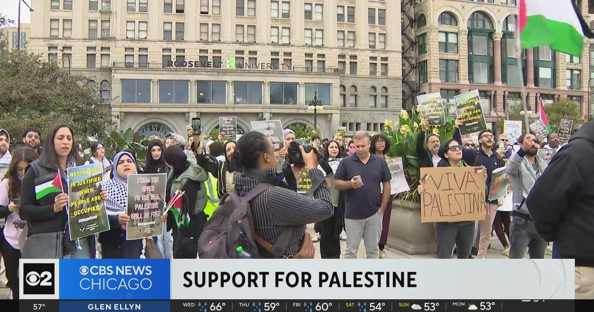 Marchers show support for Palestine at rally in downtown Chicago - CBS ...