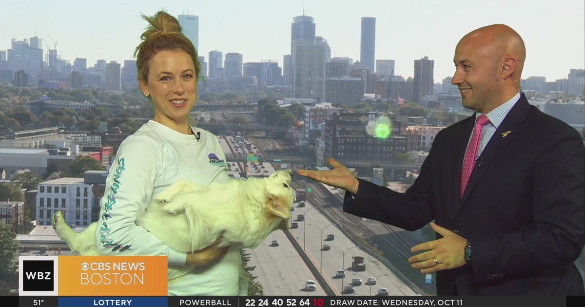 Comedian Iliza Shlesinger joins Morning Mix ahead of show at TD Garden