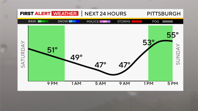 next-24-hours-temp-line-weather-bars-camera.png 