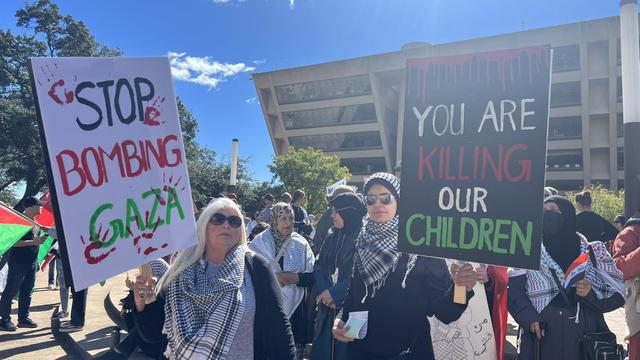 Pro-Palestine rally in Dallas 