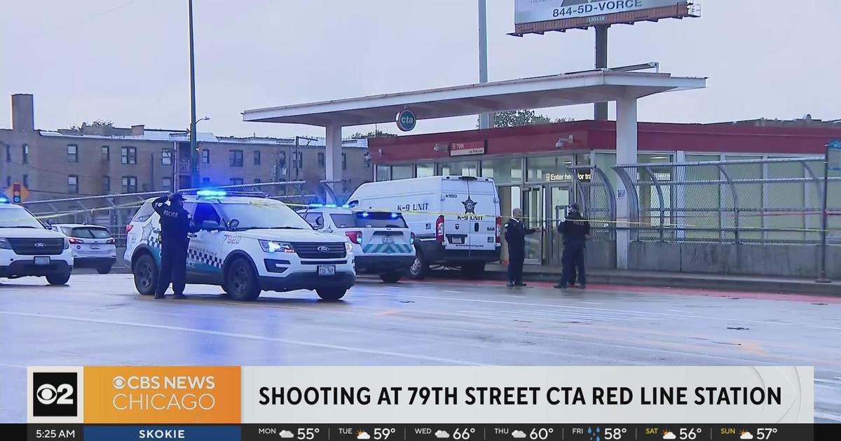 Security Guard Shot At CTA Red Line Station On South Side; Suspect ...