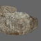 4,000-year-old rock becomes a treasure map for archaeologists