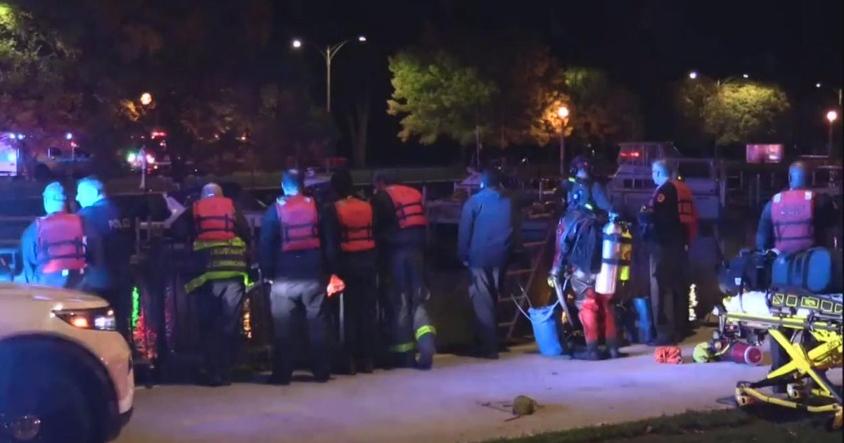 Driver crashes car into Lake Michigan on Chicago's North Side - CBS Chicago