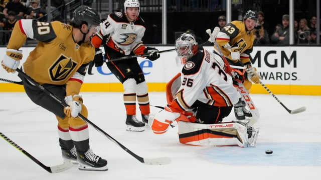 Ducks Golden Knights Hockey 