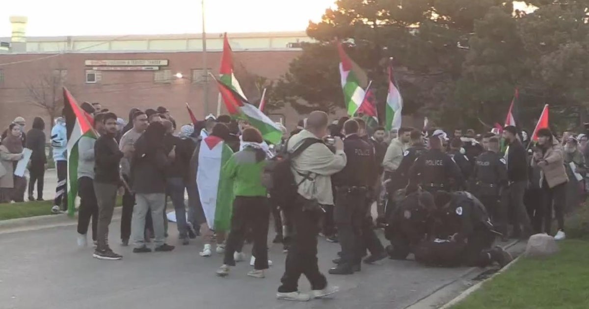 Violence breaks out at dueling Chicago area rallies for Israel and ...