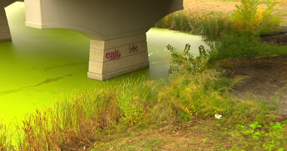 Body discovered near 35E in St. Paul, police say CBS Minnesota