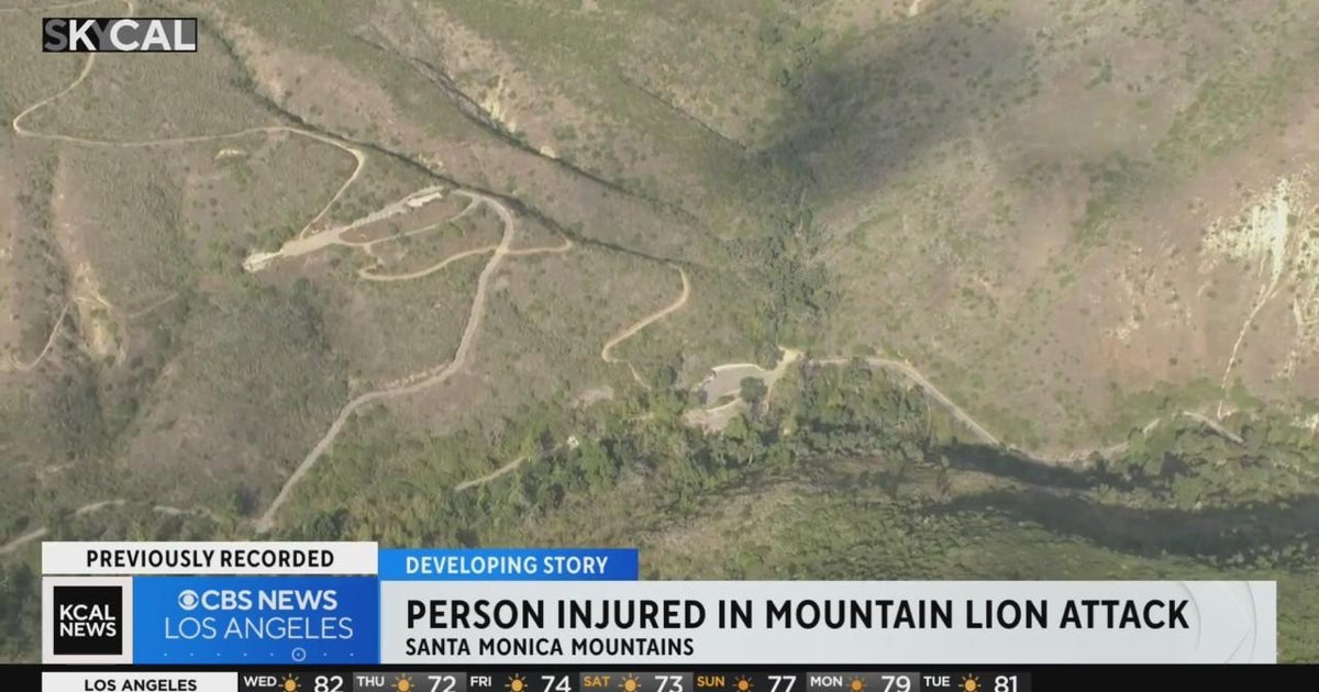 Hiker injured protecting dog from mountain lions in Santa Monica(00)