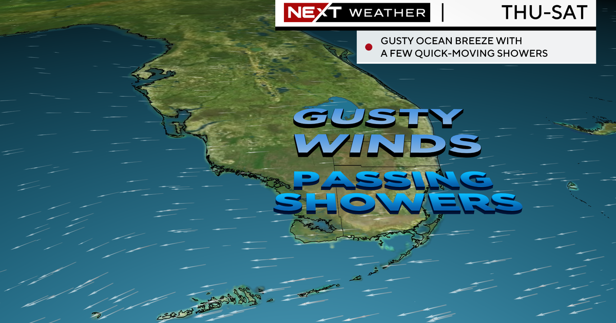 Showers on the gusty wind feasible all through the day Showers on the gusty wind feasible all through the day