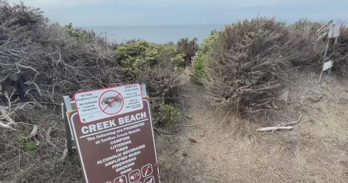 Crab poachers using rideshare drivers to get to beaches near Half Moon Bay, Fish and Wildlife says - Vimarsana News