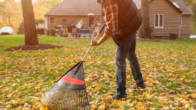 raking-leaves-in-the-yard 