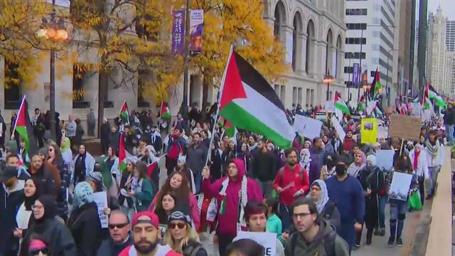 Palestine Protest Loop 