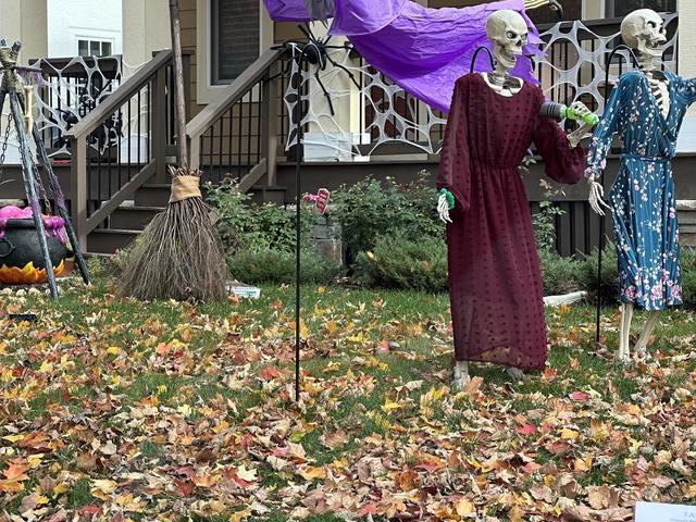 Taylor Swift Skeletons! Swiftie Creates Eras Tour-Inspired Halloween Display