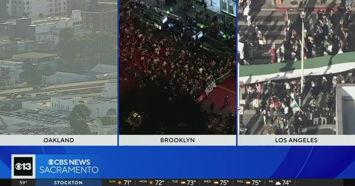 Protesters continue to demand Gaza ceasefire