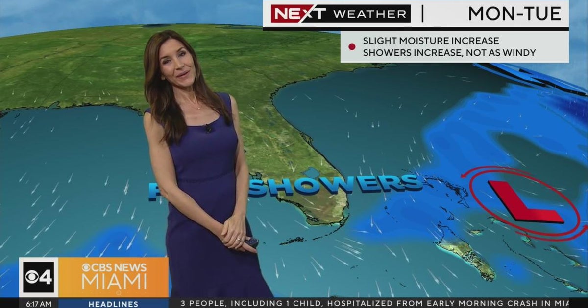 Miami weather forecast: Warm and mainly dry disorders Miami weather forecast: Warm and mainly dry disorders