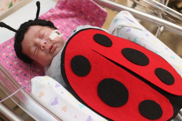 maya-birthdate-10-5-2023-ladybug.jpg 