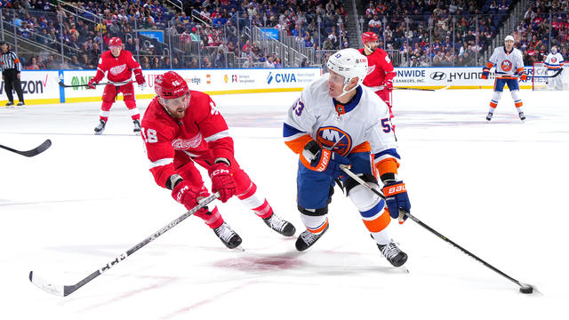 islanders-red-wings-casey-cizikas.jpg 