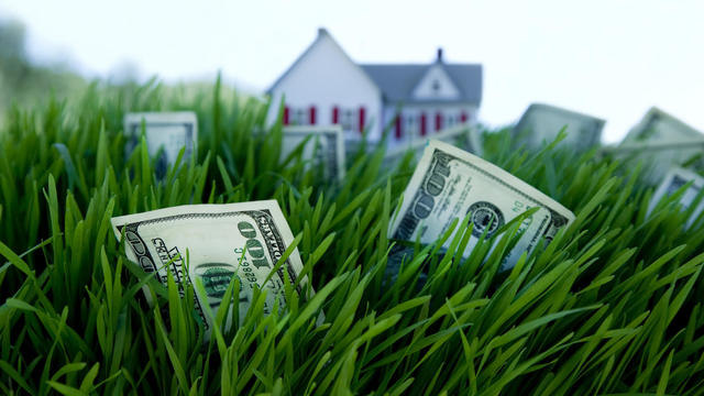 money growing on grass 