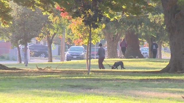 sacramento new park 21st avenue 