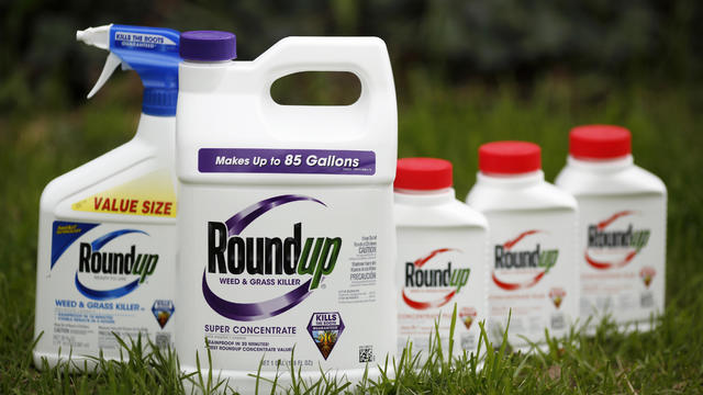 Monsanto Co. Products Ahead of Earnings Figures 
