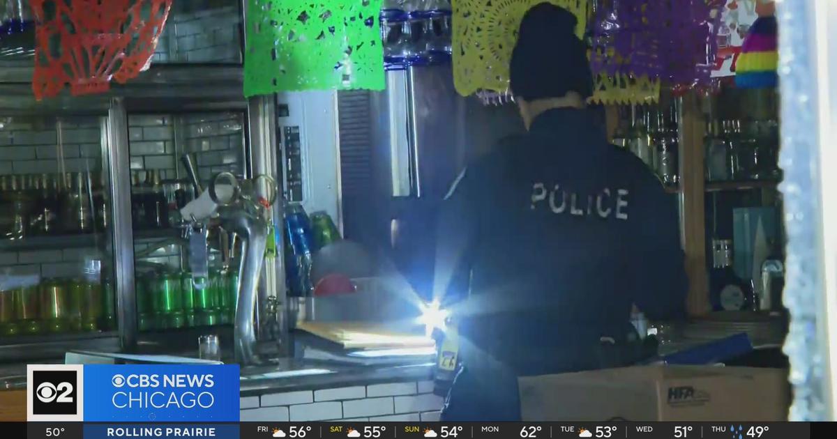 Police Release Surveillance Pics Of Louis Vuitton Store Burglary - CBS  Chicago