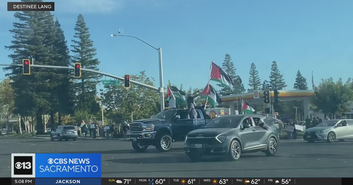 Pro-Palestine demonstration held outside Arden Mall