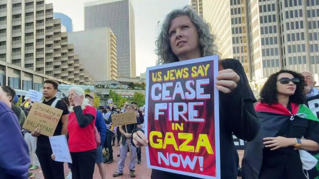 Gaza Ceasefire Demonstrator 