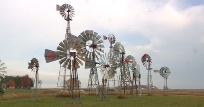 Windmill discount phone number