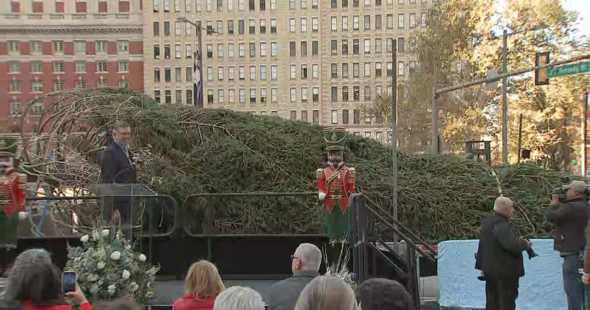 How many days until Christmas Philadelphias tree arrives in city How many days until Christmas Philadelphias tree arrives in city